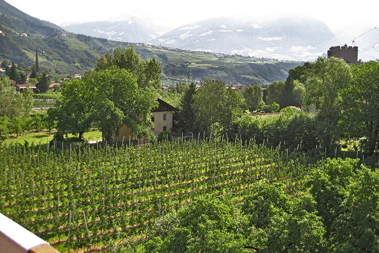 Ausblick vom Balkon der Ferienwohnung