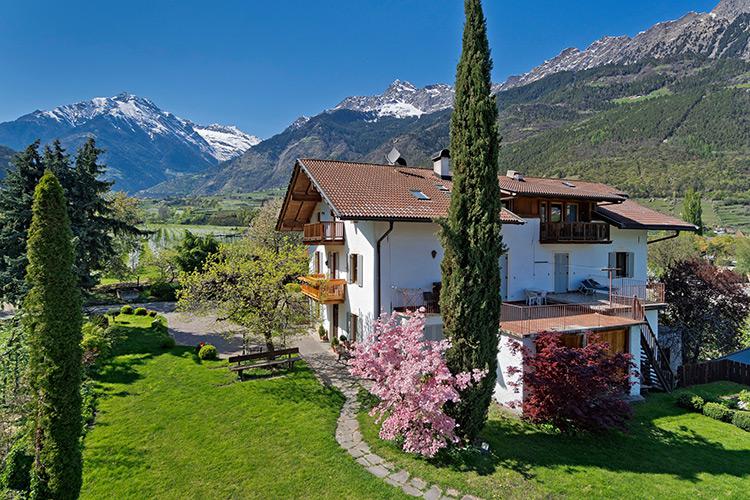 Frühling am Pendler Hof in Algund