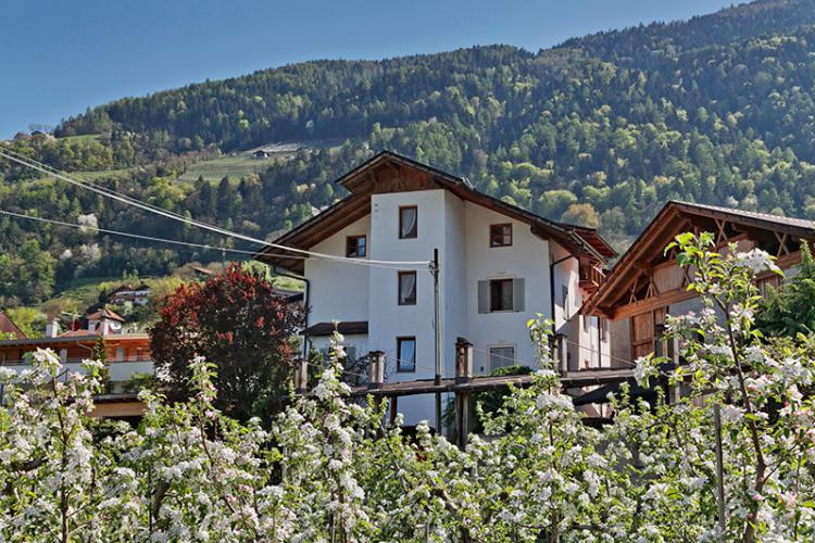 Ausblick auf Schloss Forst in Algund