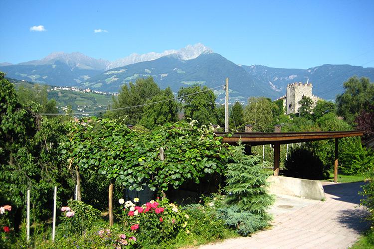 Hof und Garten - Pendler Hof in Algund